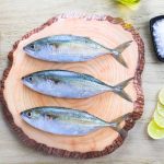 Indian Mackerel