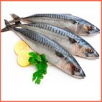 Mackerel (English)