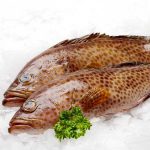Grouper