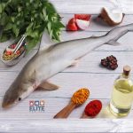 Milk Shark