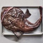 Monk fish